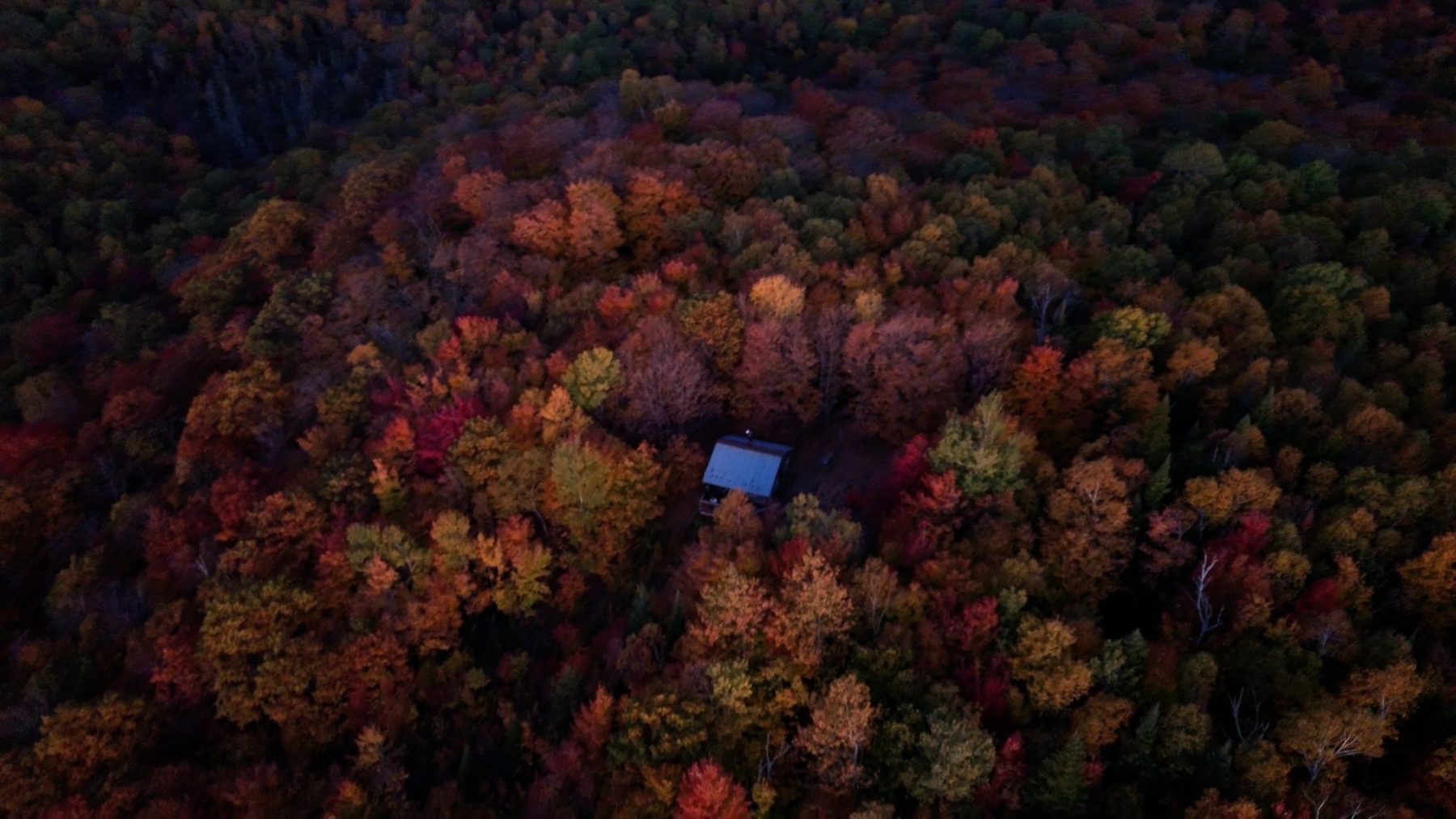 Aerial view of a cabin hidden in an autumn forest at dusk