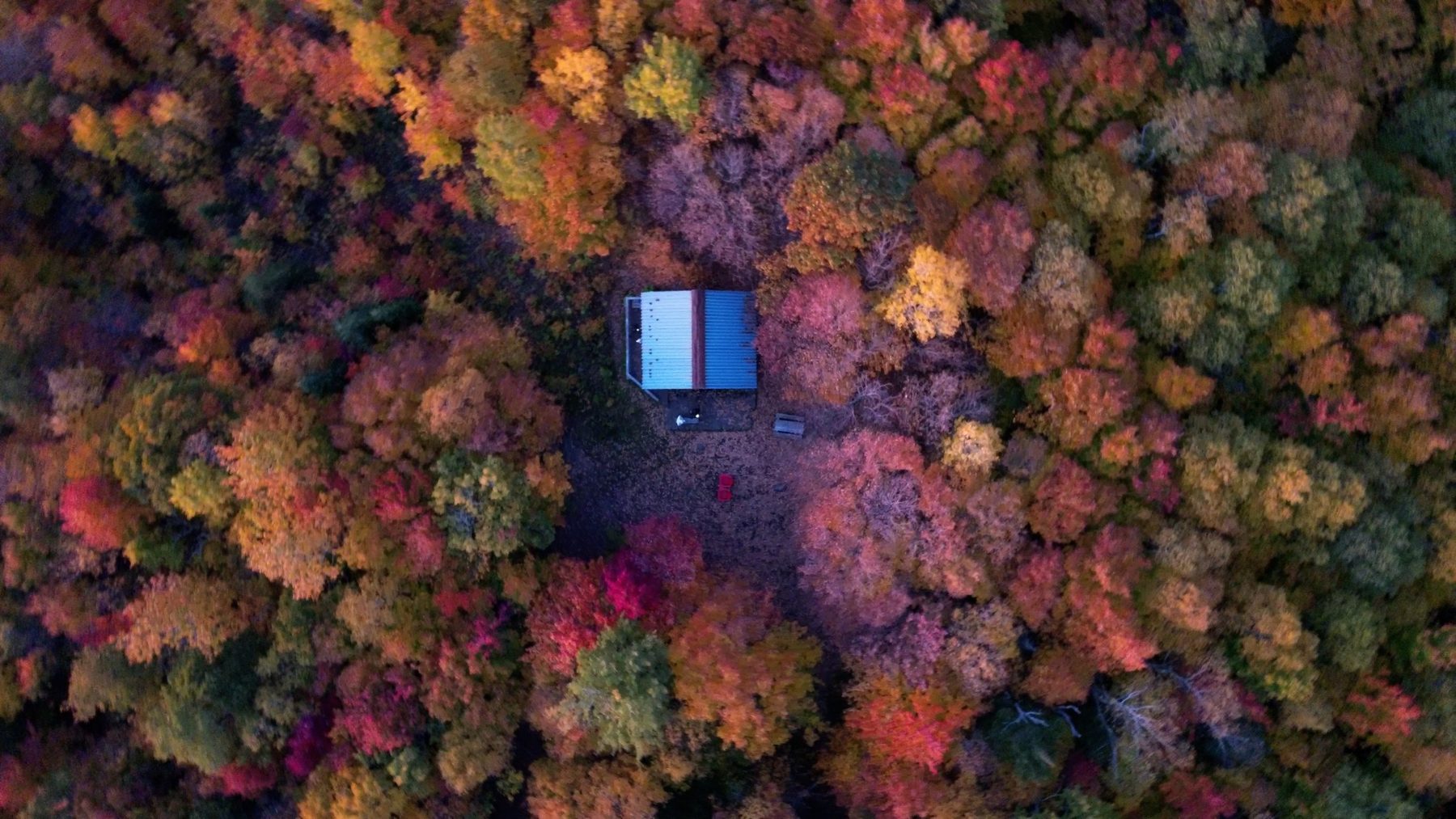 Top-down aerial view of a cabin surrounded by trees in autumn colours
